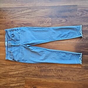 Loft Modern Skinny Jeans